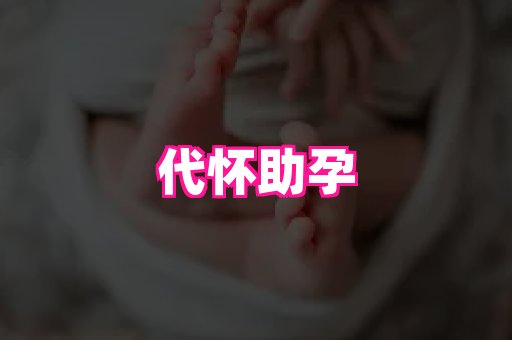 gfg孕网 3