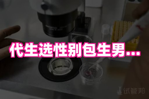 gfg孕网 4